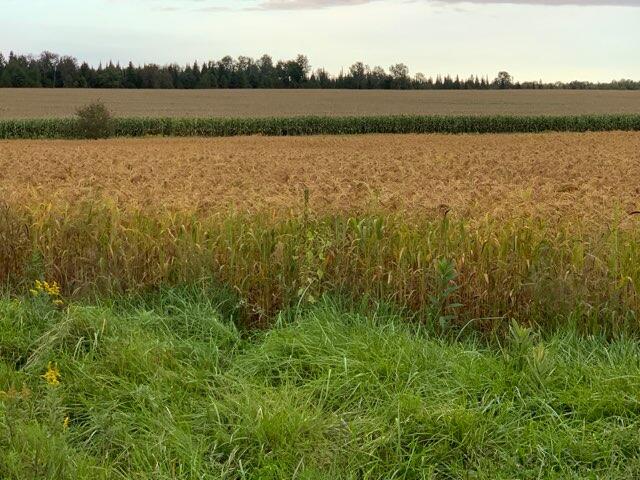 Werth Road Alpena, MI 49707 - Photo 3 of 8 Gallery Image 3