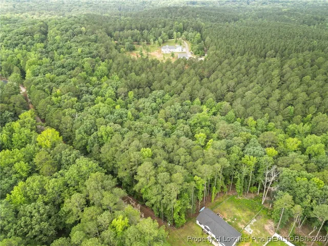 a view of a big yard with large trees