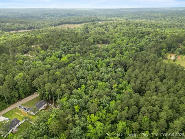 an aerial view of residential houses with outdoor space and trees