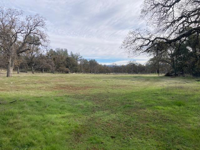 Campo Dios Road Shingletown, CA 96088 - Photo 7 of 7 Useable Land