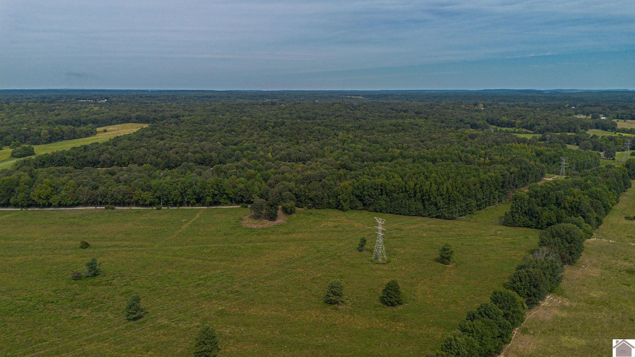 0 Corinth Church Road Grand Rivers, KY 42045 - Photo 21 of 49 Photo 21