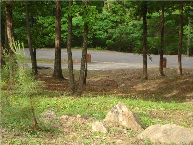 445 South Bluffs Road Guild, TN 37340 - Photo 9 of 23 Additional Photo