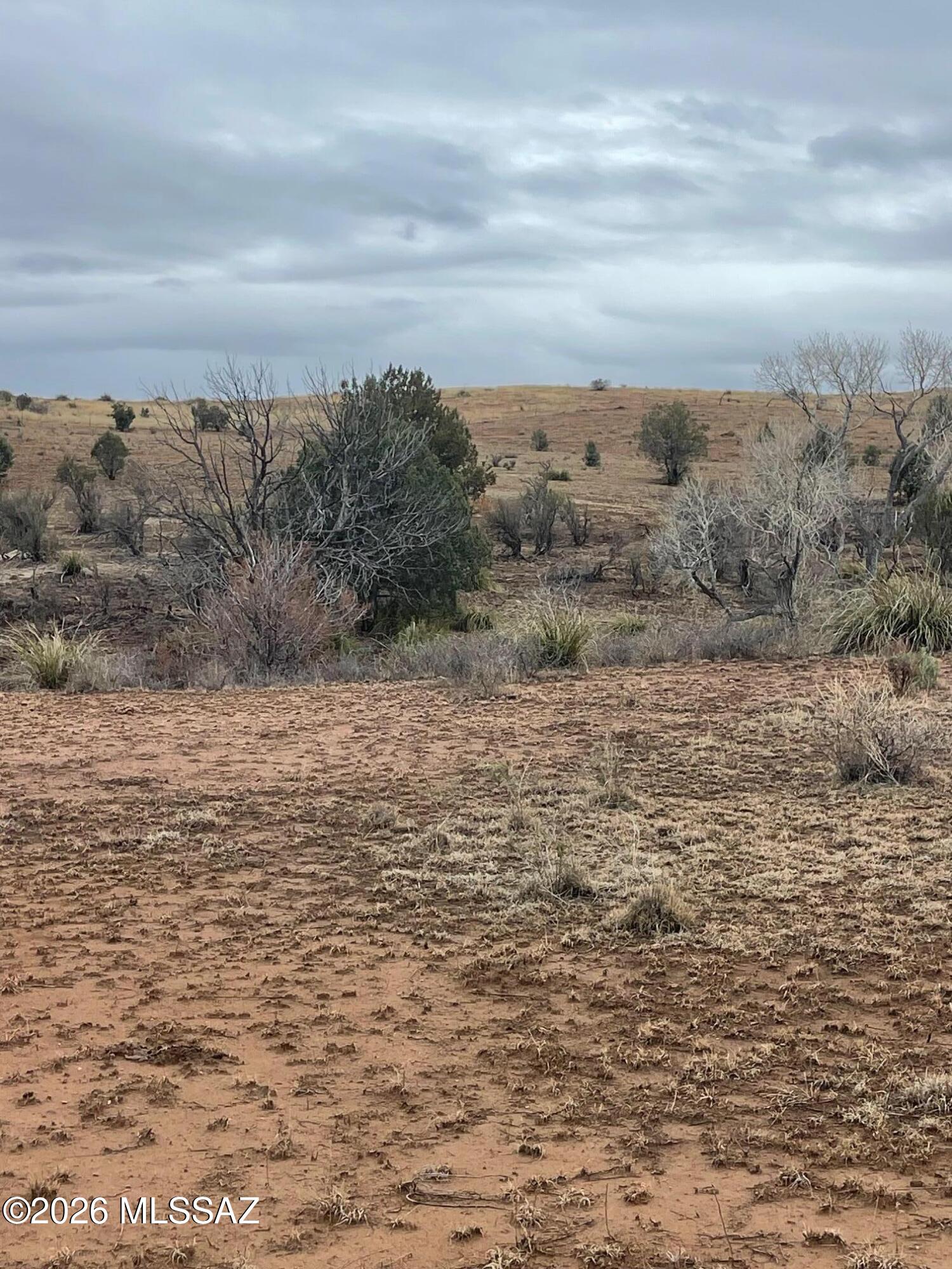 0 Vaughn Loop Road Elgin, AZ 85611 - Photo 5 of 9