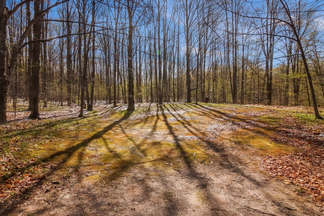 12615 Marilla Road Copemish, MI 49625 - Photo 27 of 29 27-Scene-28