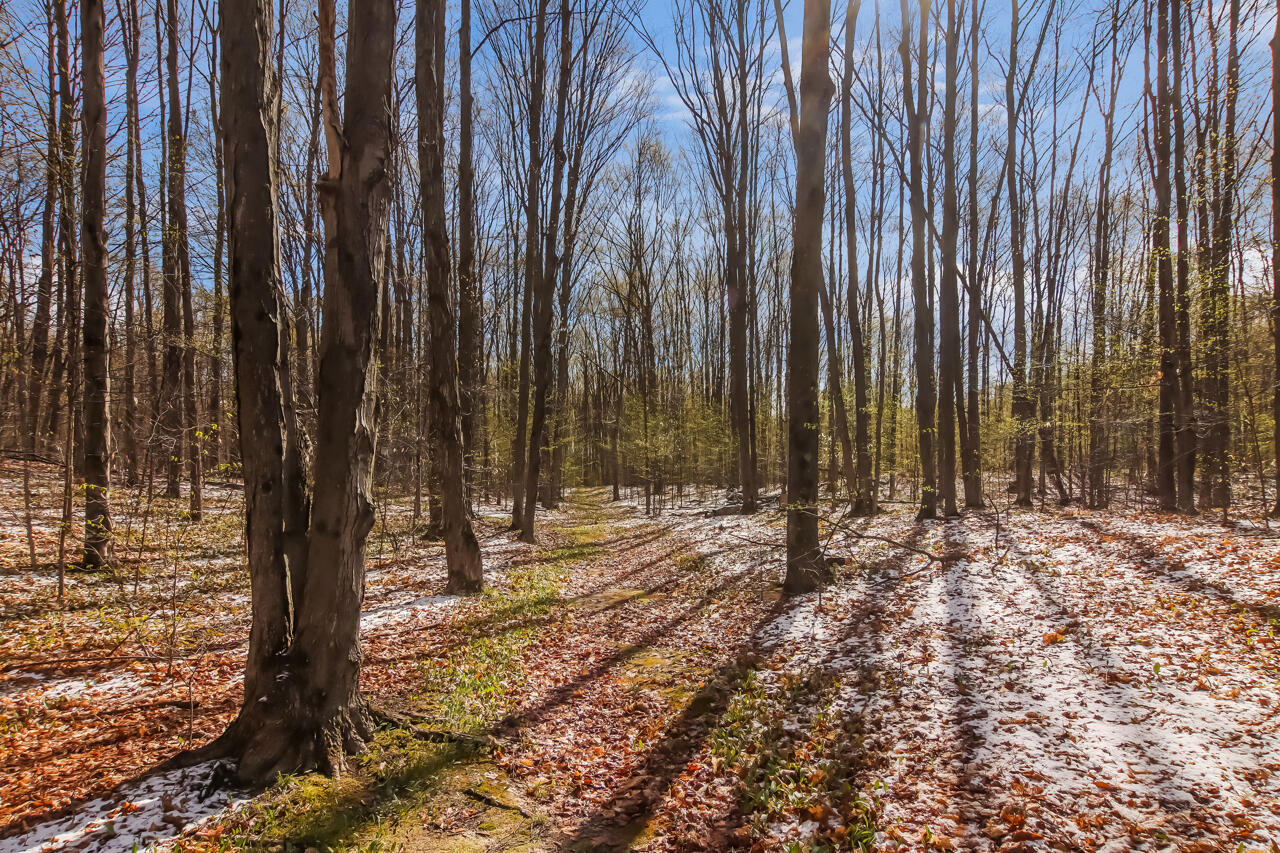 12615 Marilla Road Copemish, MI 49625 - Photo 28 of 29 28-Scene-29