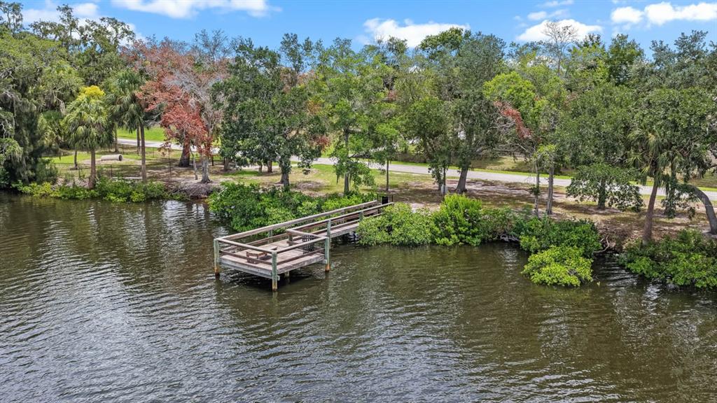 809 Timeless Moss Drive Ruskin, FL 33570 - Photo 66 of 76