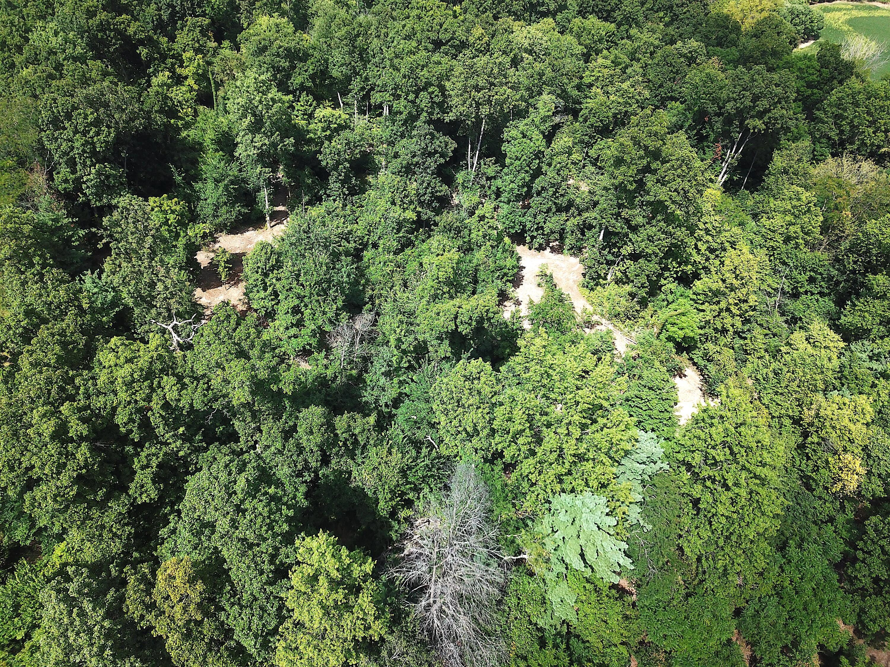 0 North Dean Road Ostrander, OH 43061 - Photo 33 of 38 DJI_0989