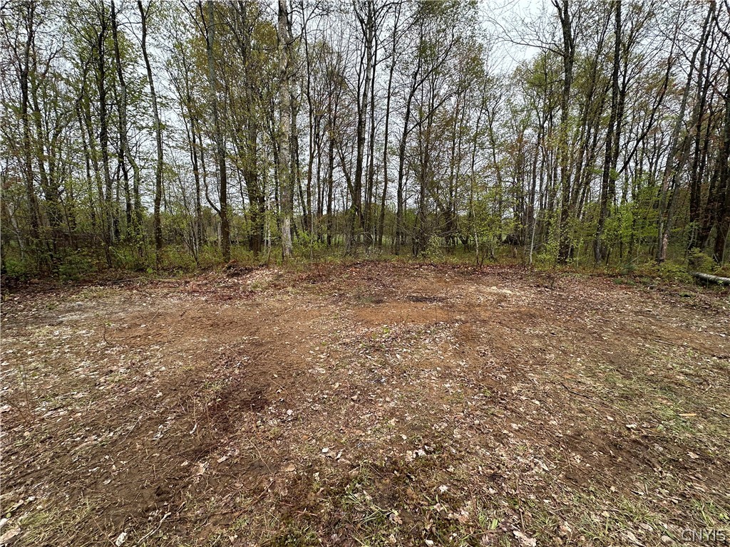4815 Texas Road Croghan, NY 13619 - Photo 10 of 19