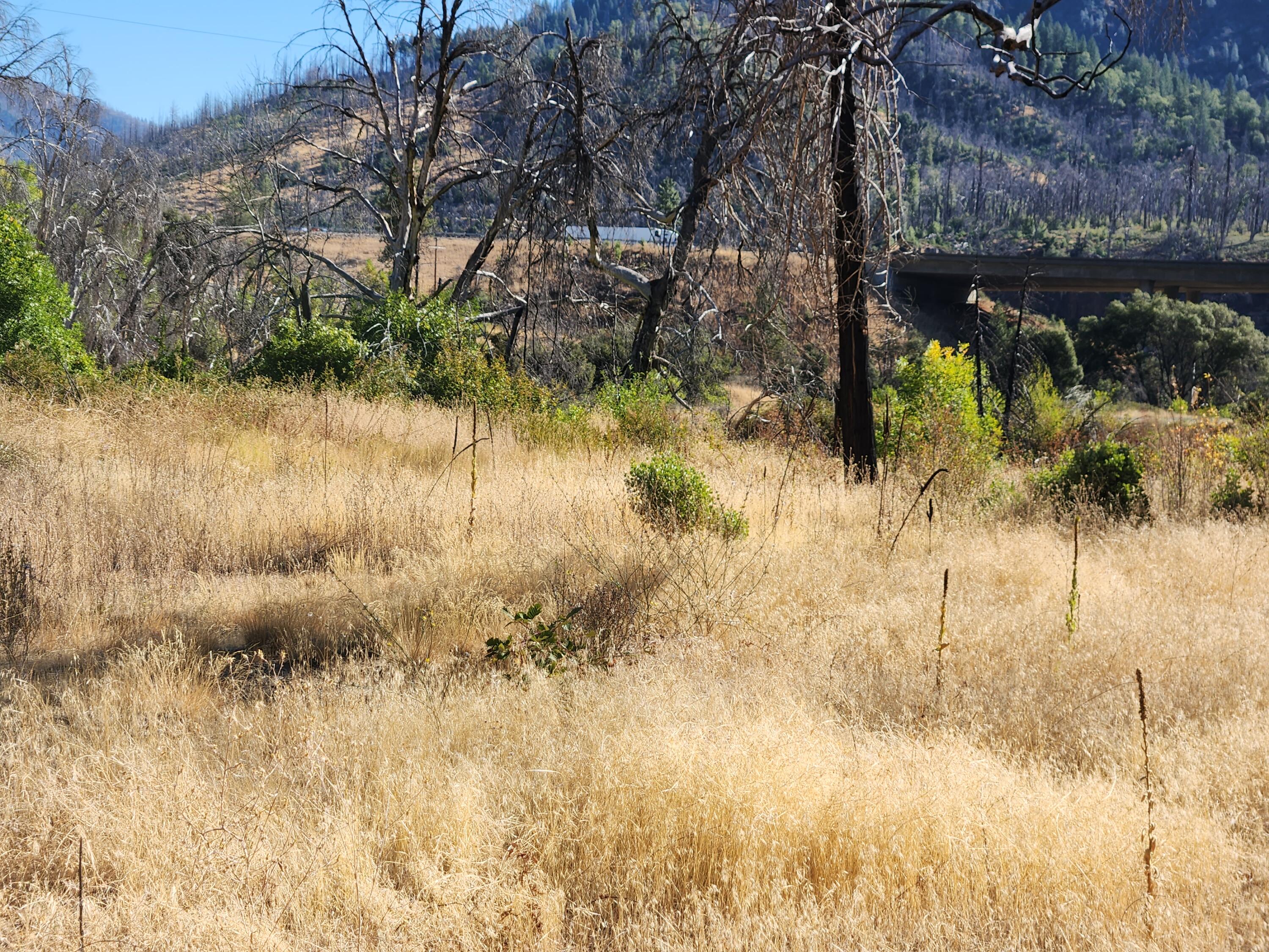17031 Slate Creek Road Lakehead, CA 96051 - Photo 16 of 47 20240908_094720