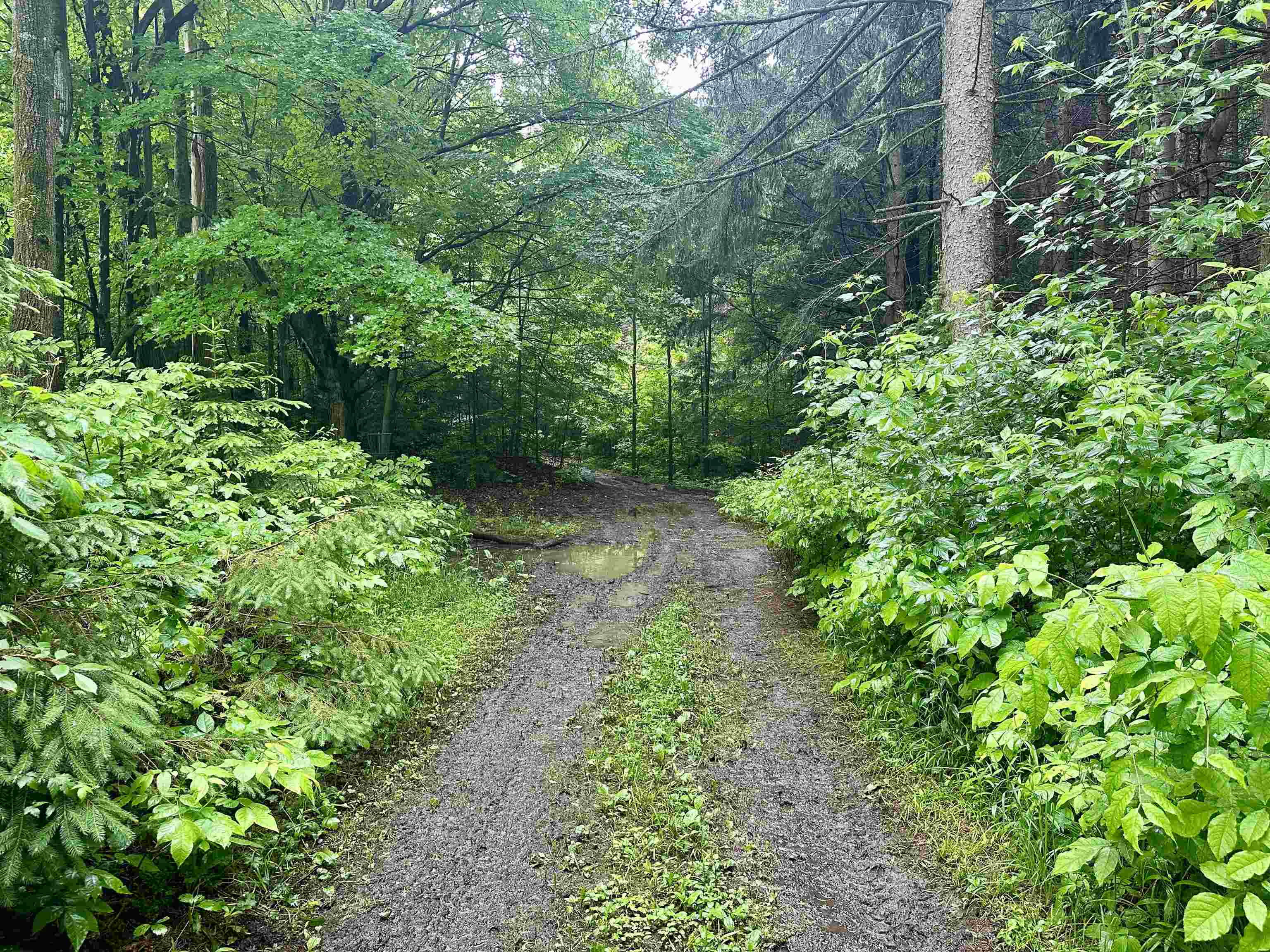 10334 37 1/2 Road Cadillac, MI 49601 - Photo 17 of 42 Gallery Image 17