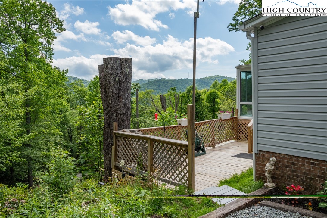 509 Leon Coffey Road Blowing Rock, NC 28605 - Photo 16 of 49