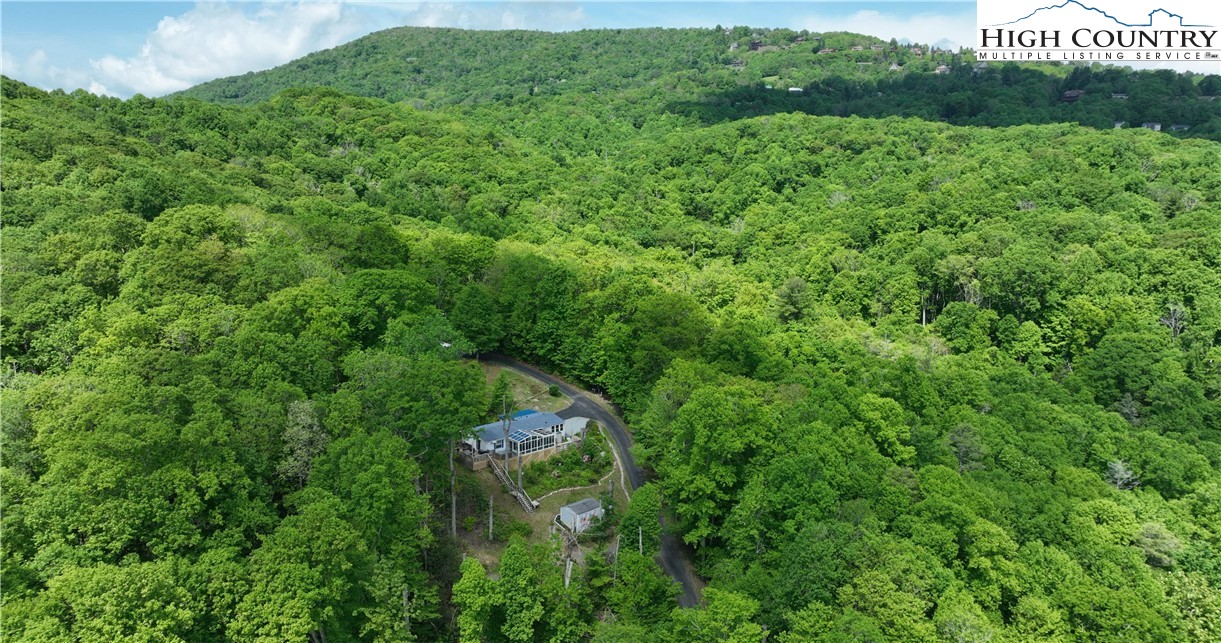 509 Leon Coffey Road Blowing Rock, NC 28605 - Photo 46 of 49