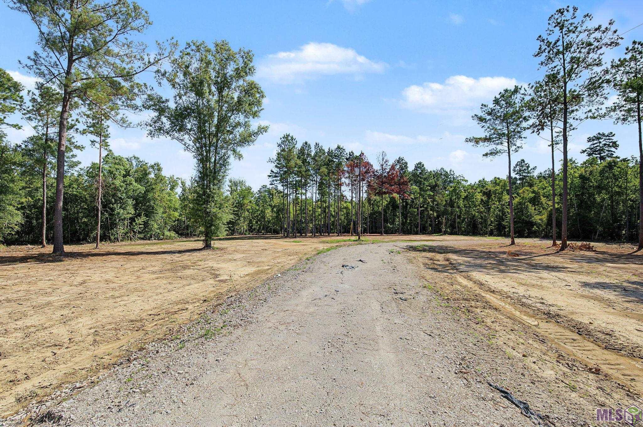 36764 Weiss Road Denham Springs, LA 70706 - Photo 4 of 7 Gallery Image 4