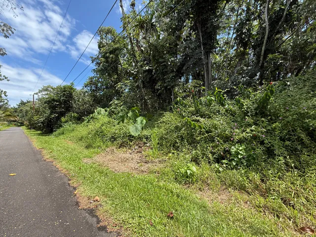 $25,000 | 15-2804 Oio Street, Pahoa, HI 96778