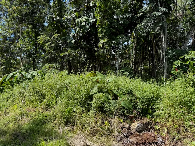 $25,000 | 15-2804 Oio Street, Pahoa, HI 96778