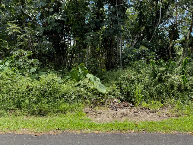 $25,000 | 15-2804 Oio Street, Pahoa, HI 96778