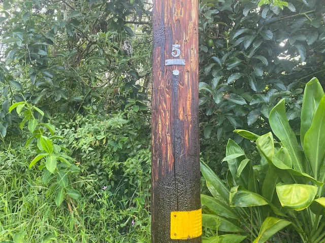 $25,000 | 15-2804 Oio Street, Pahoa, HI 96778