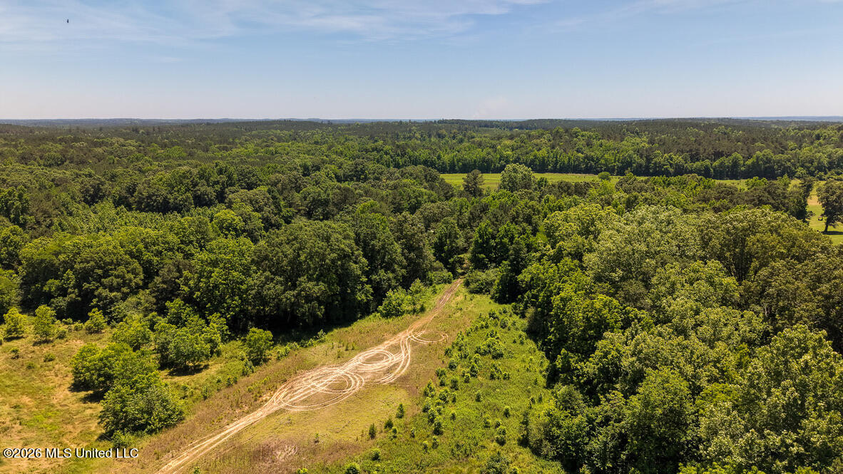 3037 Hickory Fellowship Road Hickory, MS 39332 - Photo 17 of 38 3C27C0CE-A80D-4A84-943A-18A8033B886B_1_1