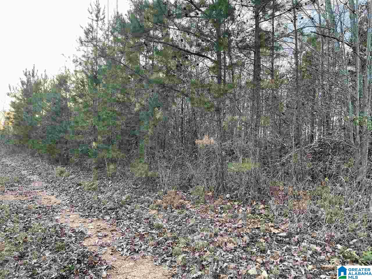7931 Goodner Mountain Road Trussville, AL 35173 - Photo 4 of 20