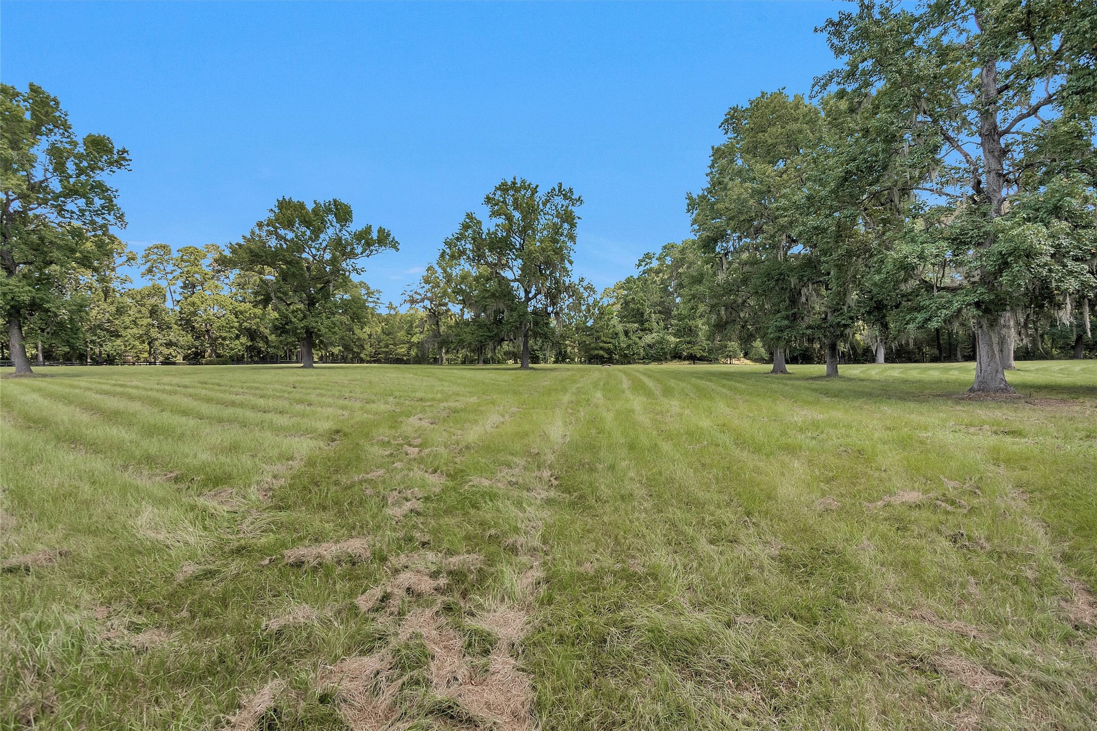 10135 Wahrenberger Road Conroe, TX 77304 - Photo 41 of 49 a view of a field with trees in the background