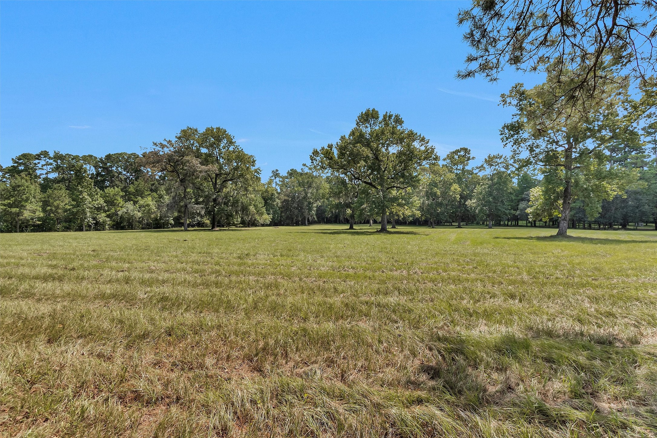 10135 Wahrenberger Road Conroe, TX 77304 - Photo 42 of 49