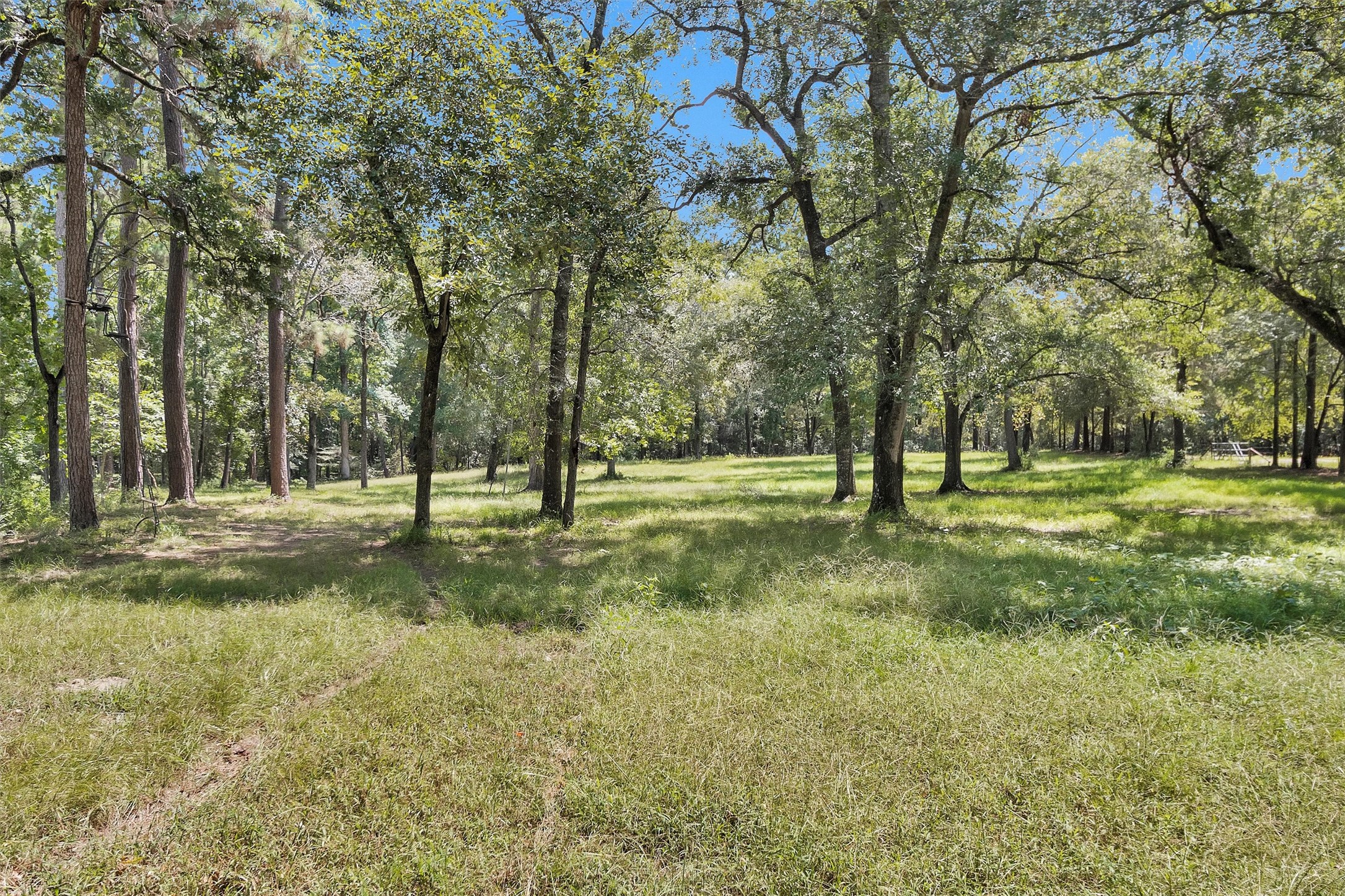 10135 Wahrenberger Road Conroe, TX 77304 - Photo 43 of 49