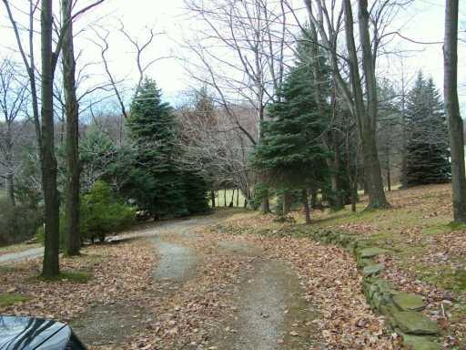 212 Lewis Road Greensburg, PA 15601 - Photo 4 of 4 Yard/Garden.