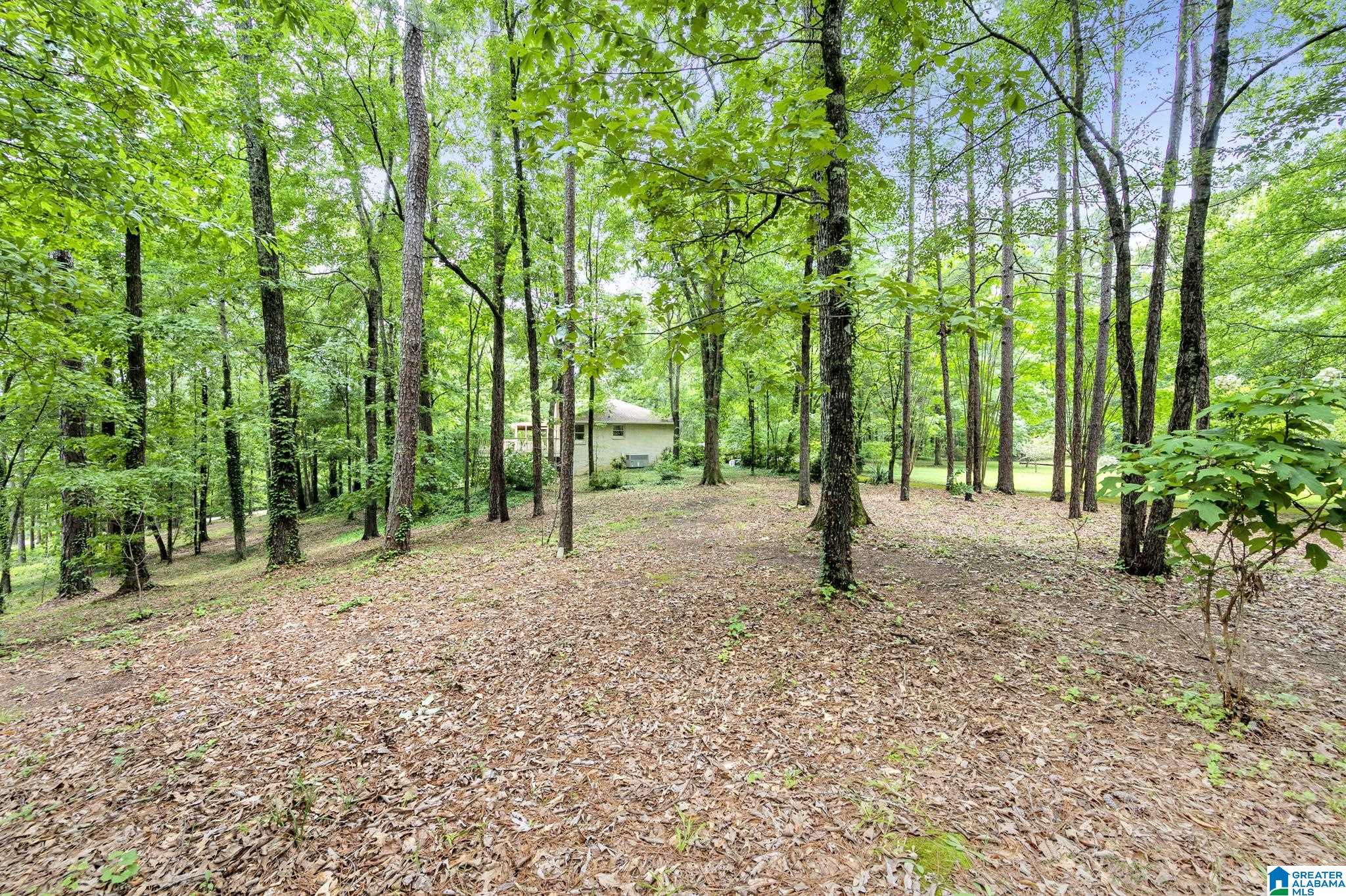 5441 Caldwell Mill Road Birmingham, AL 35242 - Photo 48 of 50