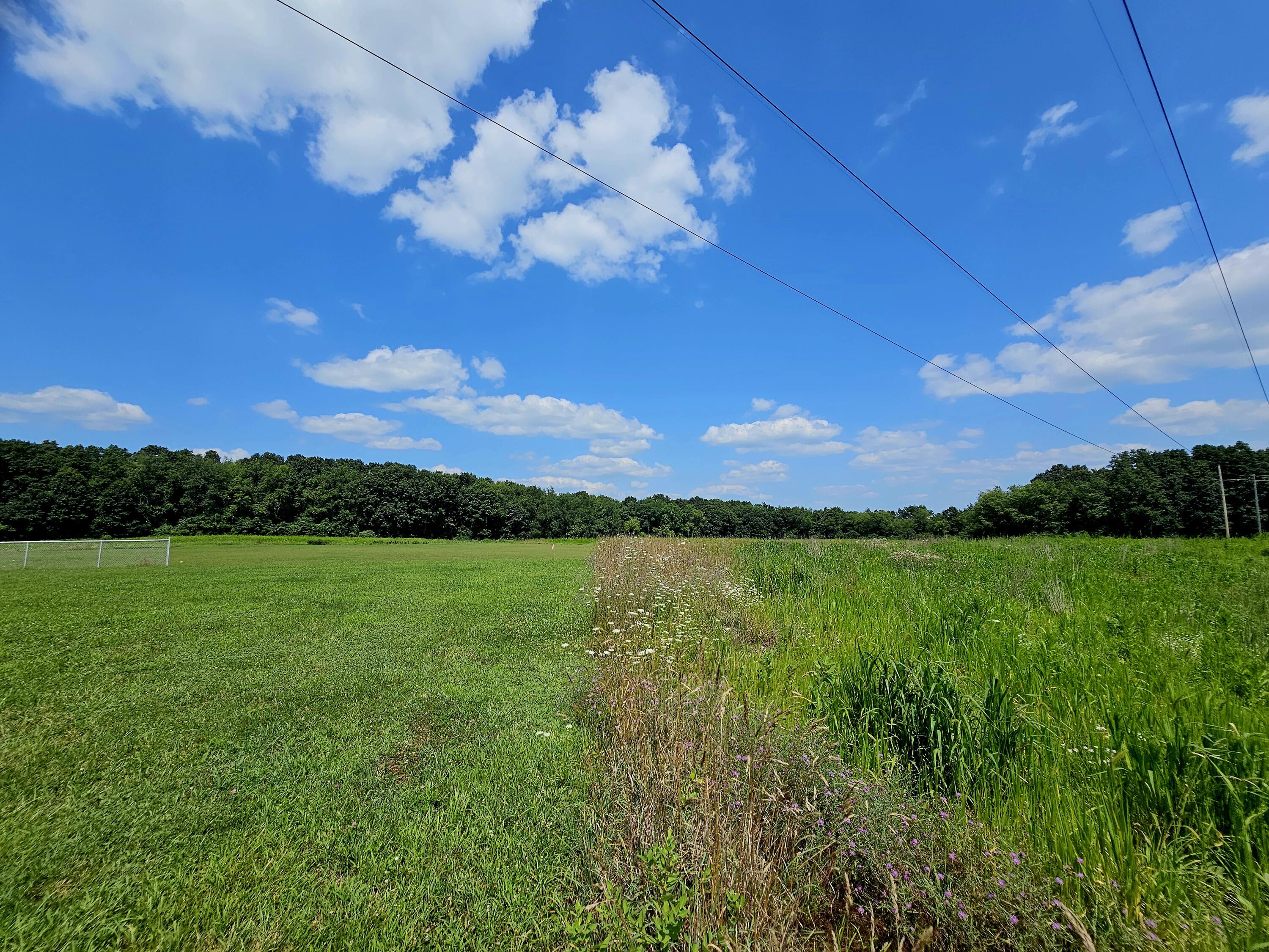Parcel B West Carleton Road Jonesville, MI 49250 - Photo 20 of 33 c21
