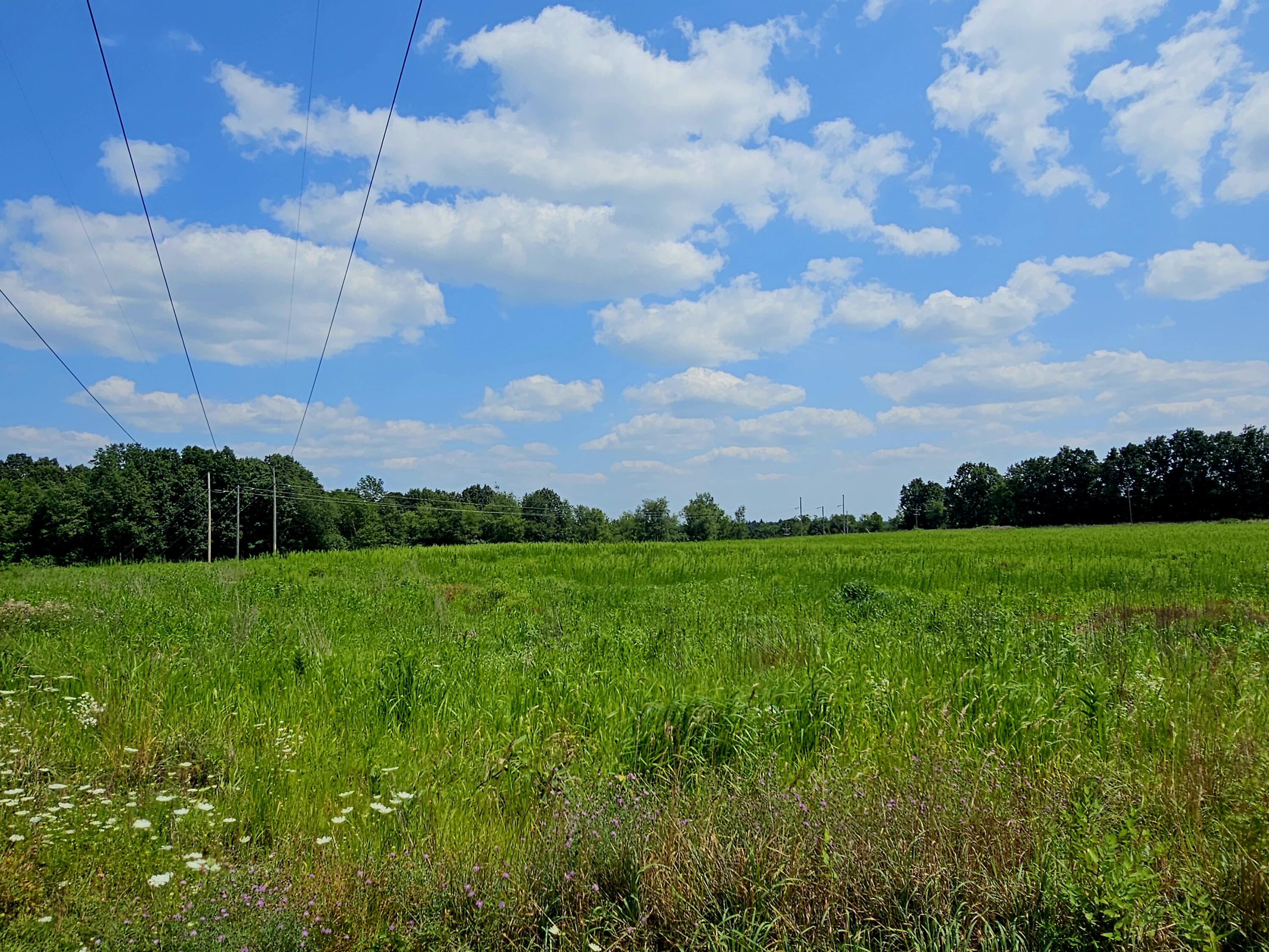 Parcel B West Carleton Road Jonesville, MI 49250 - Photo 22 of 33 c21