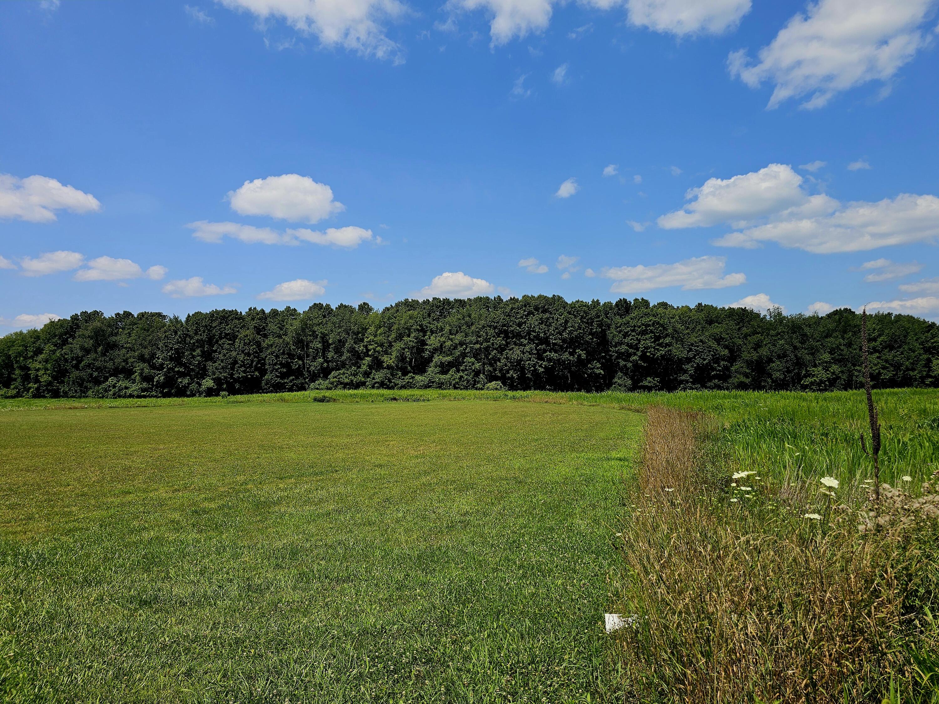 Parcel B West Carleton Road Jonesville, MI 49250 - Photo 26 of 33 c21