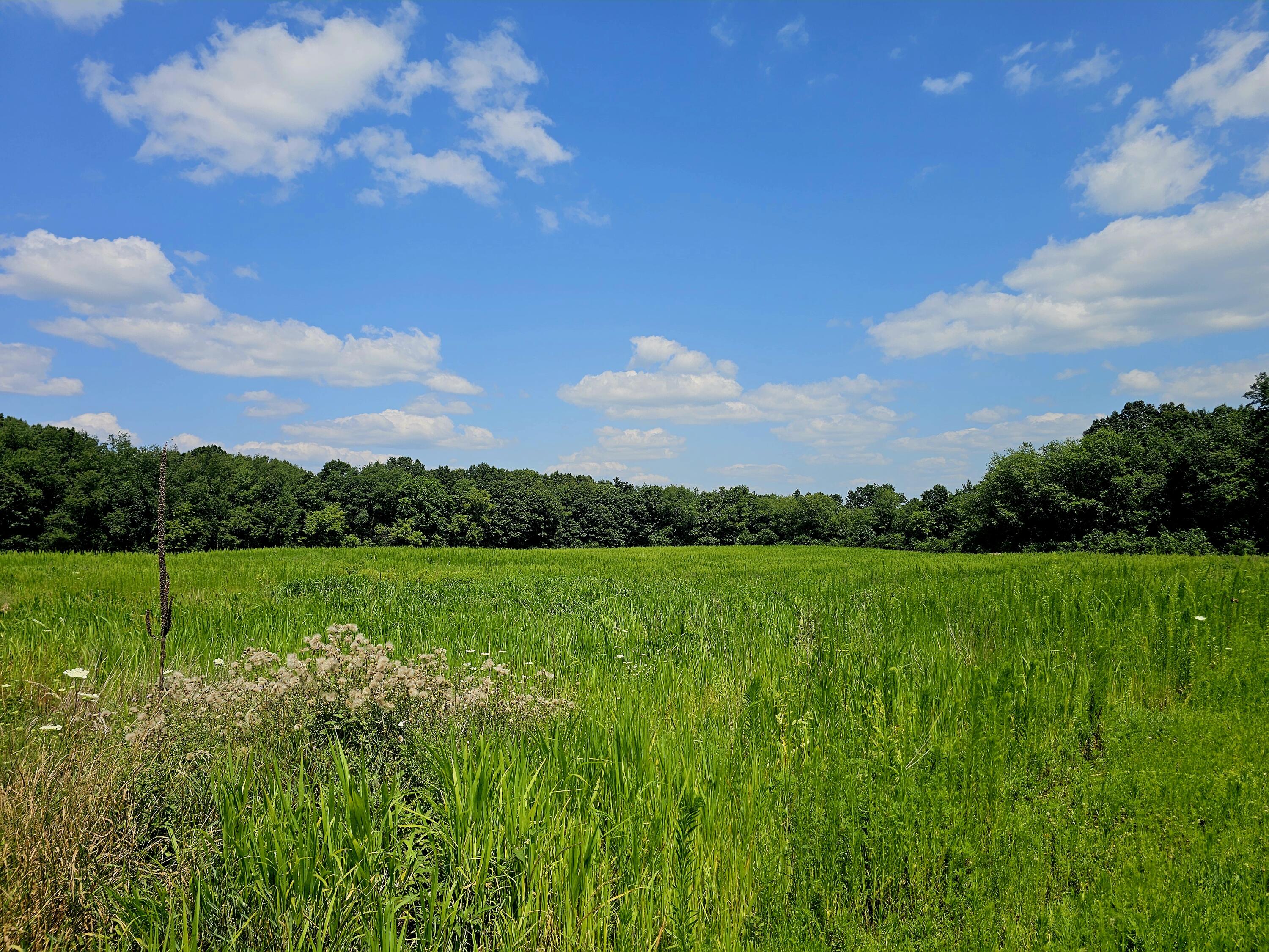 Parcel B West Carleton Road Jonesville, MI 49250 - Photo 28 of 33 c21