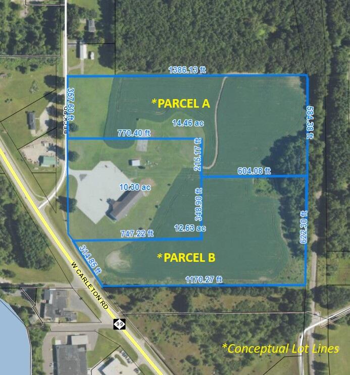 Parcel B West Carleton Road Jonesville, MI 49250 - Photo 5 of 33 c21