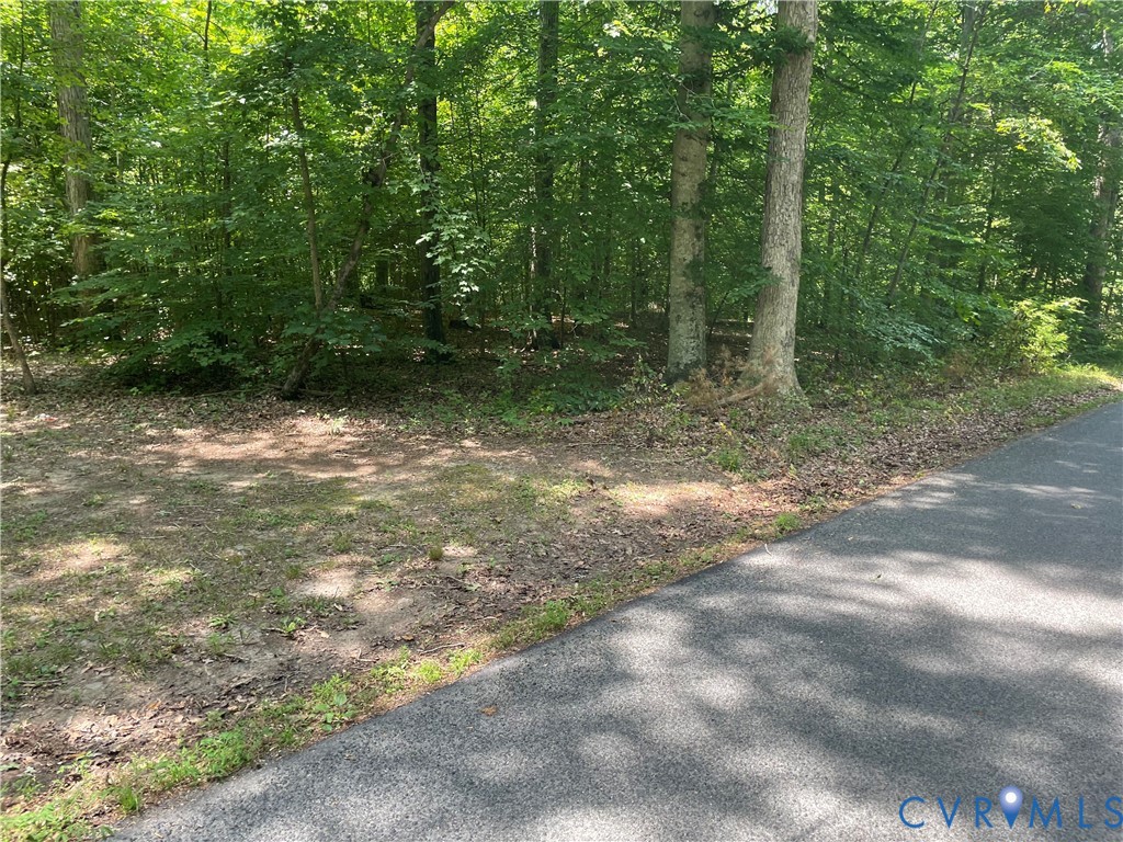 0 Tbd Bumpass, VA 23024 - Photo 4 of 8