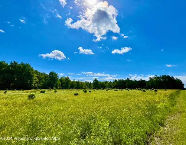 a view of a golf course