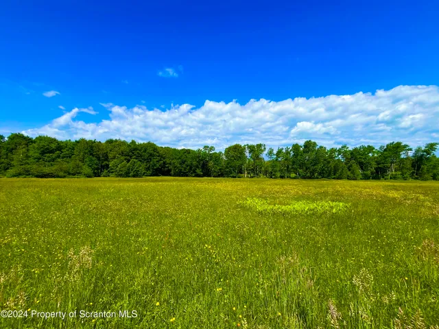 a view of an outdoor space with a lake view