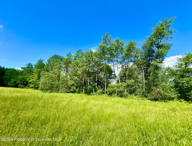 a view of garden with trees in the background