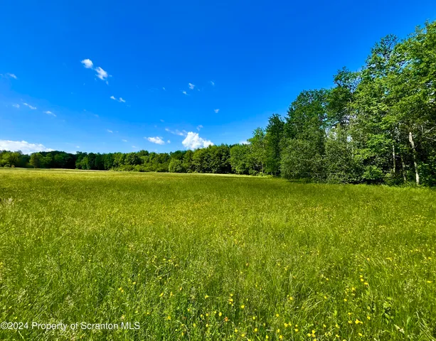 a view of yard with swimming pool and green space