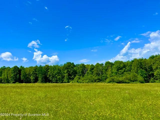 a view of a big yard with swimming pool and green space