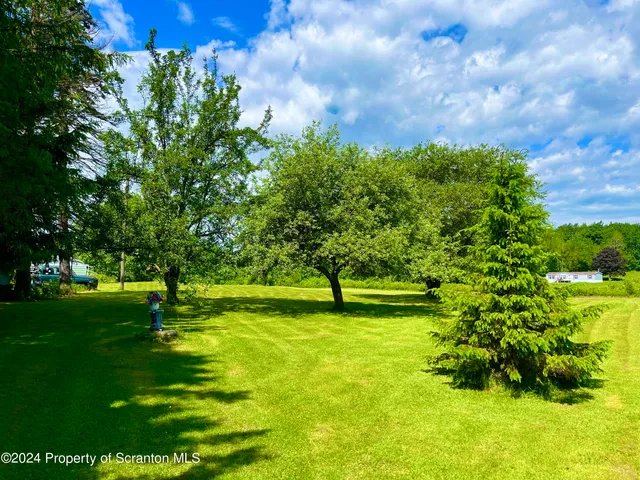a view of a garden with a tree