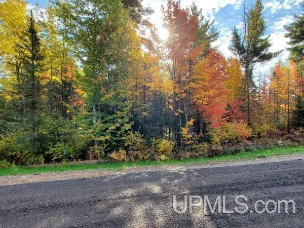 $62,000 | Lot #11 Greenwood Street, Ishpeming, MI 49849