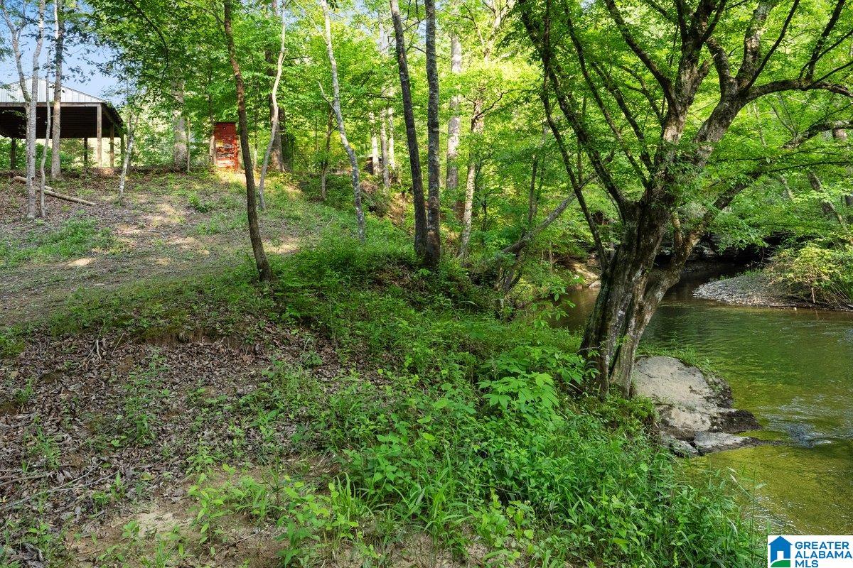 44 Dorr Road Oneonta, AL 35121 - Photo 40 of 50 Gallery Image 40