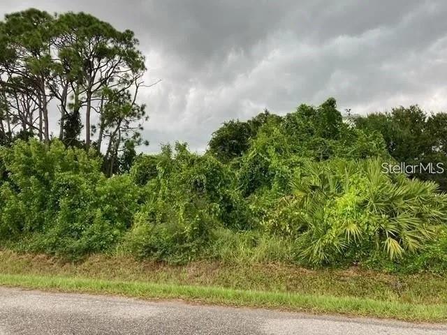 Conrad Road Venice, FL 34293 - Photo 1 of 2