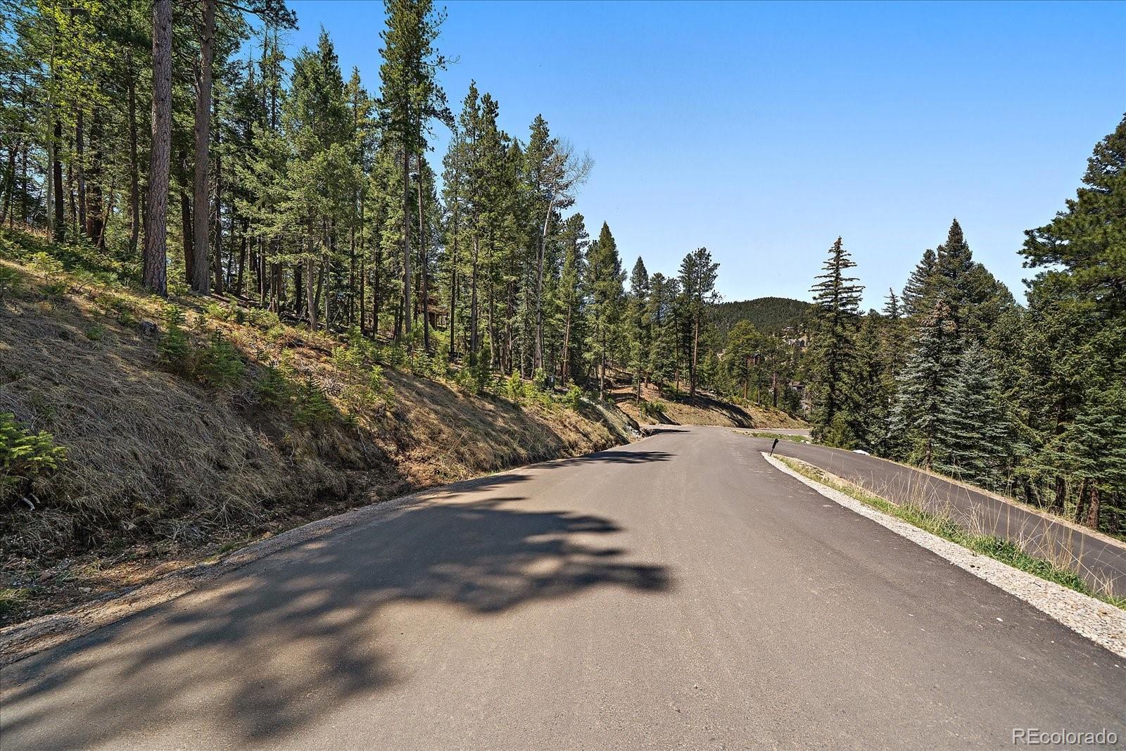 6875 Lynx Lair Road Evergreen, CO 80439 - Photo 4 of 21