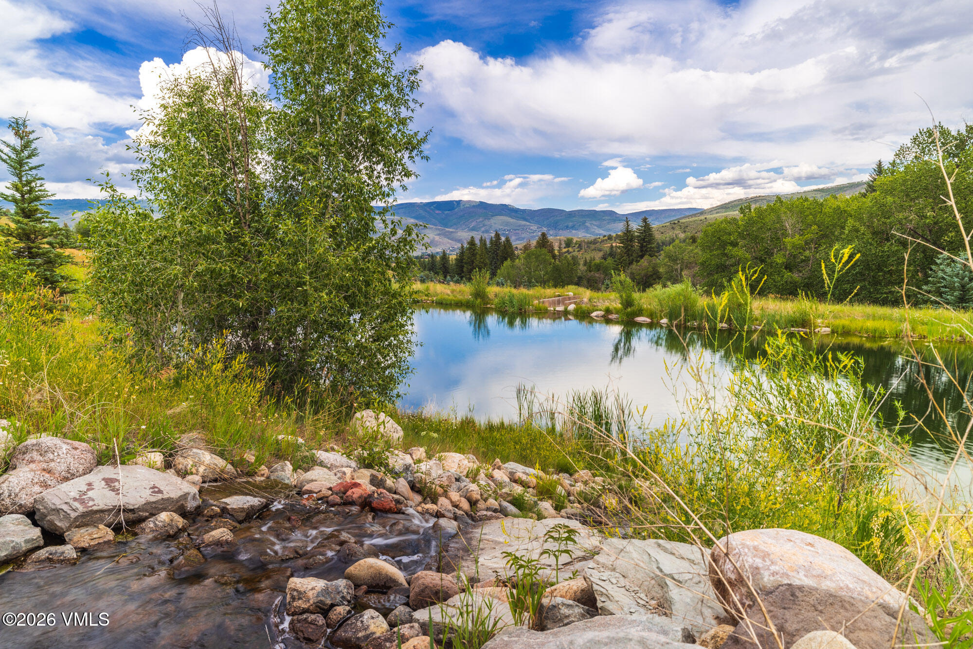 284 Polar Star Road Edwards, CO 81632 - Photo 19 of 26 052A7834