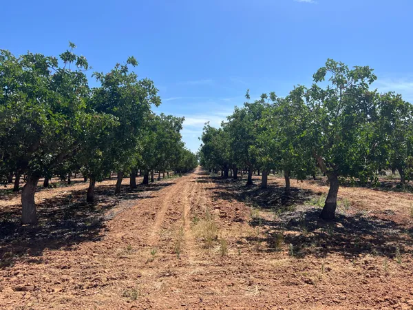 $390,100 | 20 1/2 1/2 Avenue, Madera, CA 93638