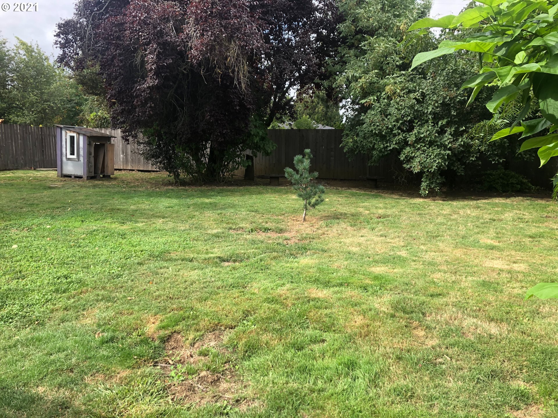 3077 Calla Street Eugene, OR 97404 - Photo 11 of 26 Gallery Image 11