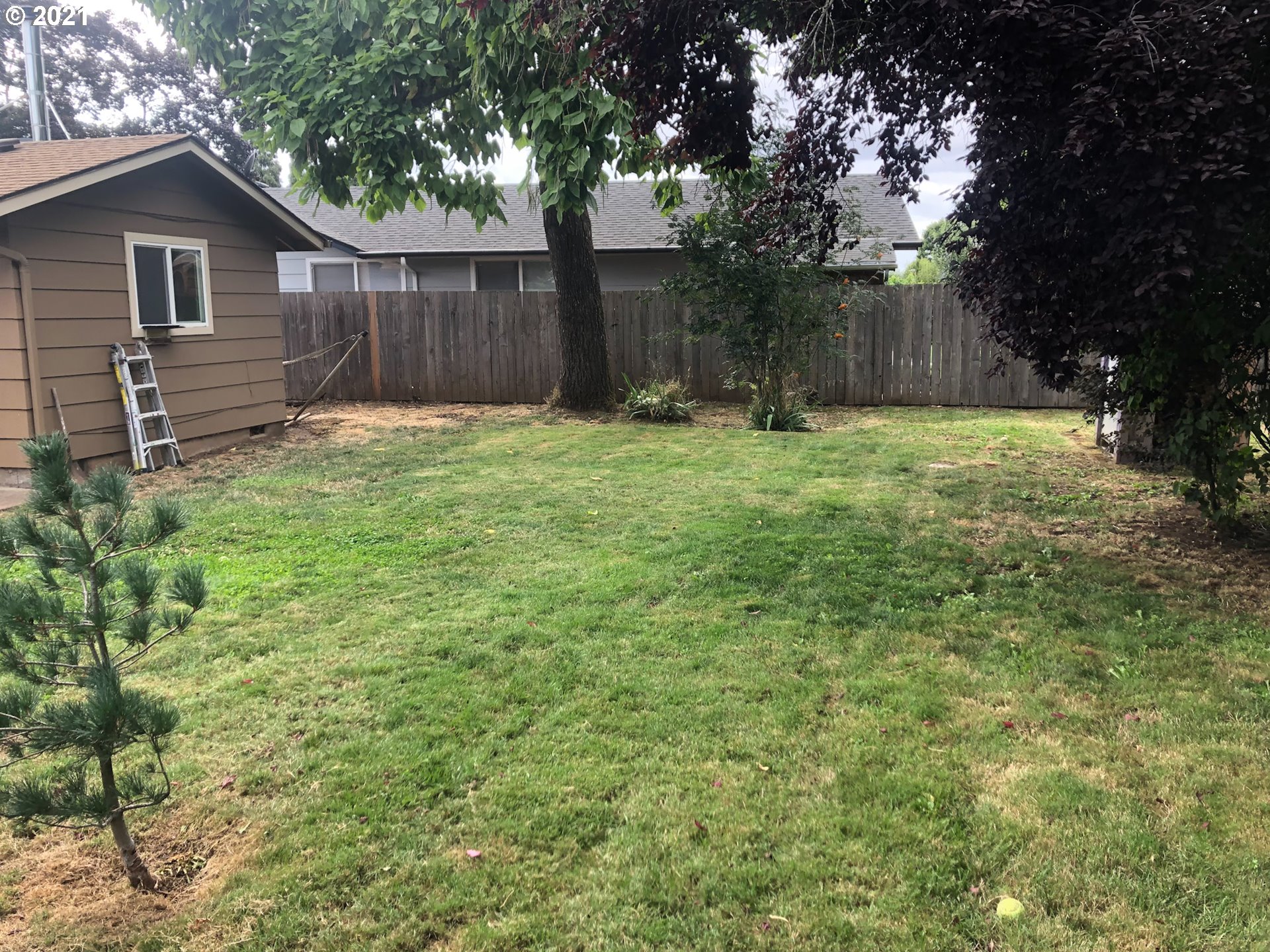 3077 Calla Street Eugene, OR 97404 - Photo 12 of 26 Gallery Image 12