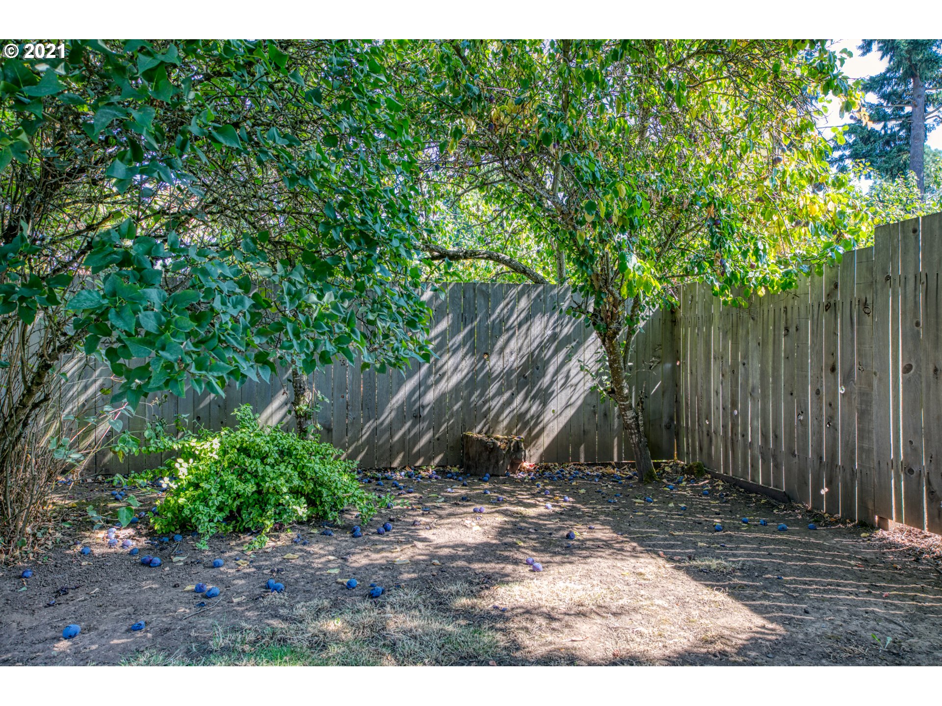 3077 Calla Street Eugene, OR 97404 - Photo 26 of 26 Gallery Image 26