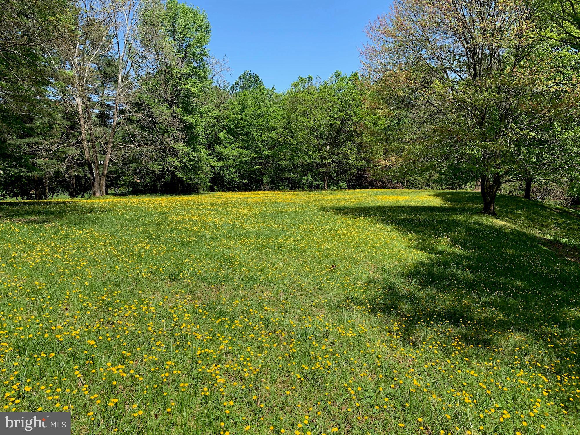 1212 Winter Hunt Road McLean, VA 22102 - Photo 44 of 52 McLean Hunt Estates Park less than a block away